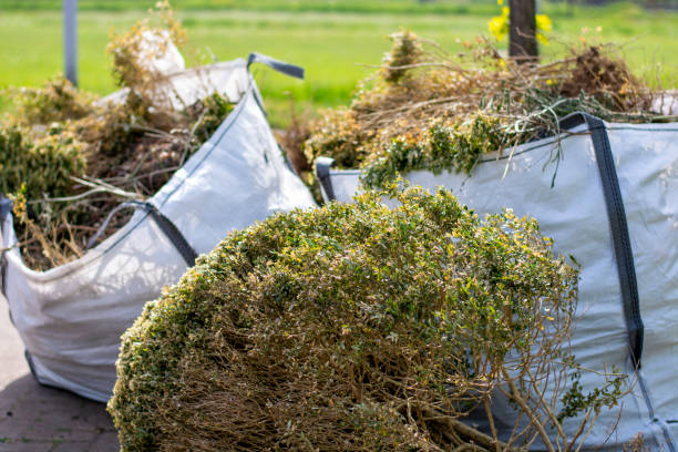 Best Trash Removal Near Me  in Newton, KS